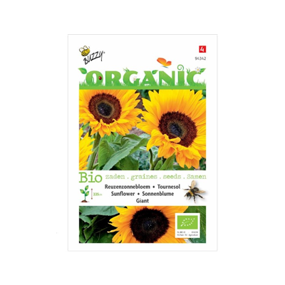 Biologische Helianthus, Reuzenzonnebloem giganteus Biologische Helianthus, Reuzenzonnebloem giganteus