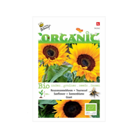 Biologische Helianthus, Reuzenzonnebloem giganteus - thumbnail