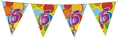 Haza Witbaard Vlaggenlijn 6 jaar, 10mtr.