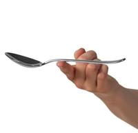 WMF - Premiere 18/10 Protect - Tafellepel - thumbnail