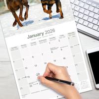 Dobermann Kalender 2026 - thumbnail