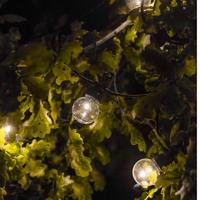 LUMIJARDIN Zonneslinger 10 LED-lampen - Warm wit - Party clear solar - thumbnail