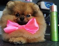 Fresh parfumspray 90 ml - thumbnail