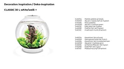 BiOrb Caulerpa groen aquarium decoratie