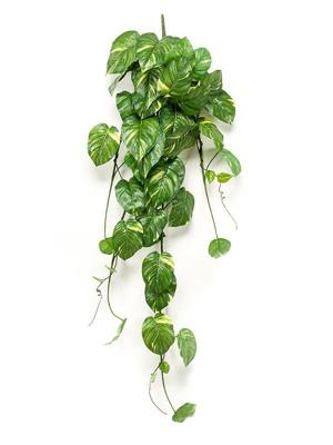Scindapsus pictus bush green/grey 24 cm kunstbloem zijde nepbloem Emerald - Emerald