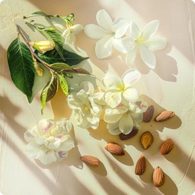 Elie Saab Girl of Now Shine Eau de Parfum 50ml Elie Saab Girl of Now Shine Eau de Parfum 50ml