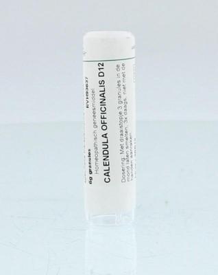 Homeoden Heel Calendula officinalis D12 6 Gram