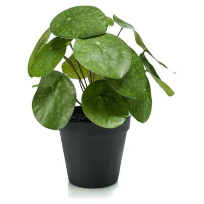 Kunstplant Pilea Pannenkoekplant - 22cm