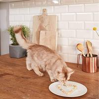 Gimcat GrasBits 40gr - thumbnail