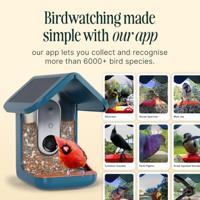 Bird Buddy Slim Pro Vogelhuisje met camera en zonnepanelen blauw - Camera in nestkast - thumbnail