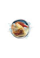 Wetenschapsspel Clementoni Mes premiers Triops FR - thumbnail