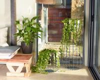 Pentola - ARTEVASI - SAN REMO - 30 br - Antracite - thumbnail