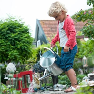 Gieter verzinkt 9 liter met sproeikop Gieter verzinkt 9 liter met sproeikop