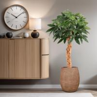 Pachira Kunstplant Deluxe 100cm - thumbnail