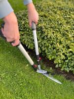 Talentools grasschaar horizontaal - thumbnail