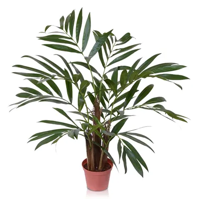 Chamaedorea Kunstpalm 65 cm - Kunstplant Chamaedorea Kunstpalm 65 cm - Kunstplant
