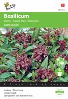 Basilicum Siam Queen - thumbnail
