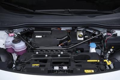 STOP & GO marterverjager "2 speakers" marten repellent device 2