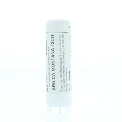 Homeoden Heel Arnica montana 12CH 6 Gram