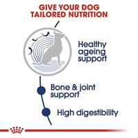 Royal Canin Maxi Ageing natvoer hond (in saus) 1 doos (10 x 140 g) - thumbnail