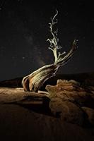 Nikon Z7 II body - thumbnail