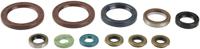 ATHENA motor-keerring set motorshield sx-f 450, 07-10, - thumbnail