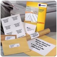 Etiket Avery DP246-100 70x36mm wit 2400 etiketten - thumbnail