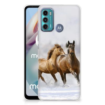 Motorola Moto G60 | TPU Hoesje | Paarden