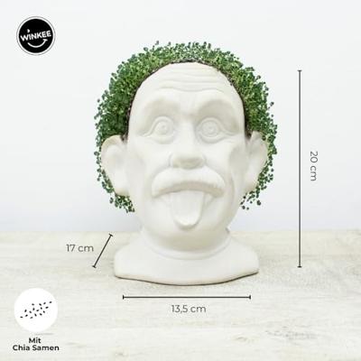 Einstein bloempot met zaadjes