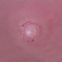 Gift Republic Rozen Badbommen - thumbnail