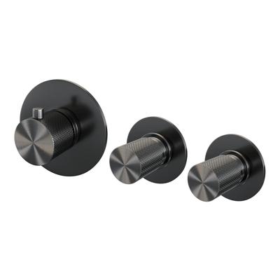 Inbouwthermostaat Brauer Gunmetal Carving en 2 Stopkranen Met in- en Afbouwdelen Geborsteld Gunmetal Brauer Inbouwthermostaat Brauer Gunmetal Carving en 2 Stopkranen Met in- en Afbouwdelen Geborsteld Gunmetal Brauer