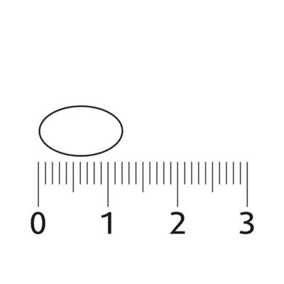 Lucovitaal Vegan Omega 3 60Capsules