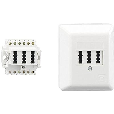 Rutenbeck TAE 2x6/6NFF Ap rw Stekkerdoos Opbouw (op muur) Wit Rutenbeck TAE 2x6/6NFF Ap rw Stekkerdoos Opbouw (op muur) Wit