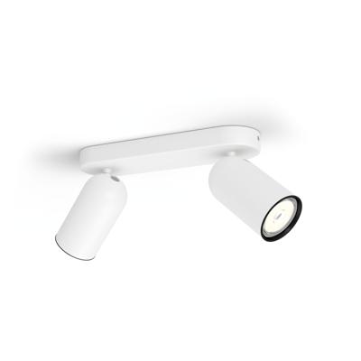 Philips OpbouwspotPongee 2-lichts wit - 5058231PN