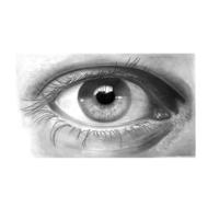 Handlettering Pitt Artist Pen set Faber-Castell 6-delig 267116 - thumbnail