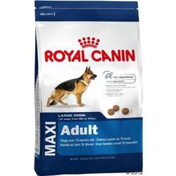 Royal Canin Dog Maxi Adult Dry 15kg