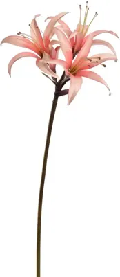 Pure Royal kunsttak ridderster 80cm roze