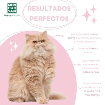 Kattenshampoo Menforsan Katten 300 ml - thumbnail