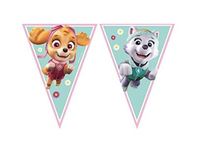 Vlaggenlijn Paw Patrol Skye en Everest (2,3m)