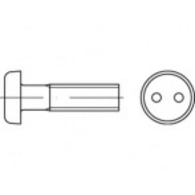 TOOLCRAFT TO-5379942 Veiligheidsschroeven M3 20 mm Tweegats 88111 RVS A2 100 stuk(s)