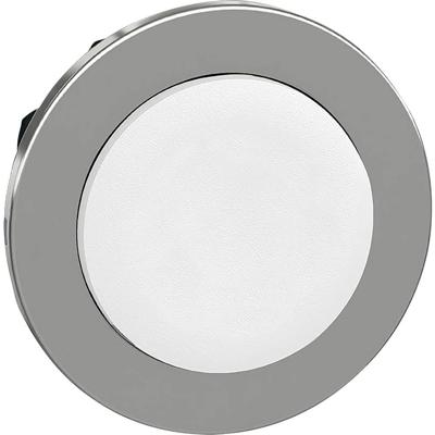 Schneider Electric ZB4FL1 ZB4FL1 Plat, Terugstelbaar (Ø) 30.5 mm Zonder markering Chroom, Wit 1 stuk(s)