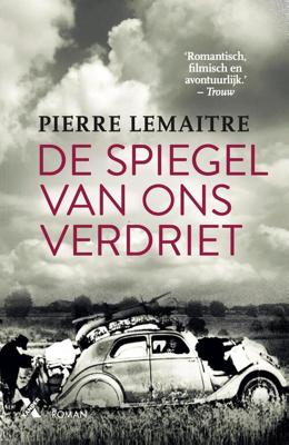 Spiegel van ons verdriet - Pierre Lemaitre - ebook