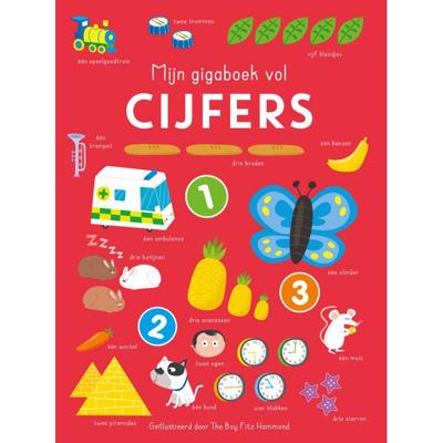 Rebo Publishers Mijn gigaboek vol cijfers