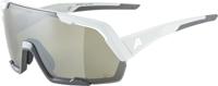 Olympic Sportswear Alpina sports sportbril rocket q-lite mat grijs - thumbnail