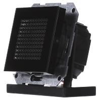 Gira luidspreker voor RDS radio zwartglas look 228205