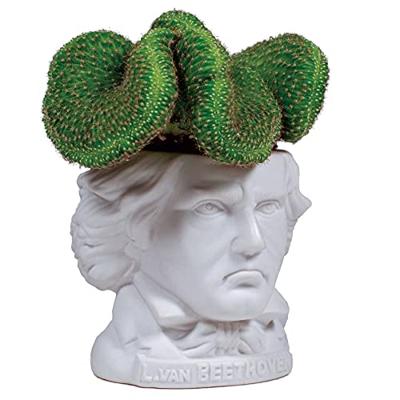 UPG Planter - Ludwig von Beethoven UPG Planter - Ludwig von Beethoven