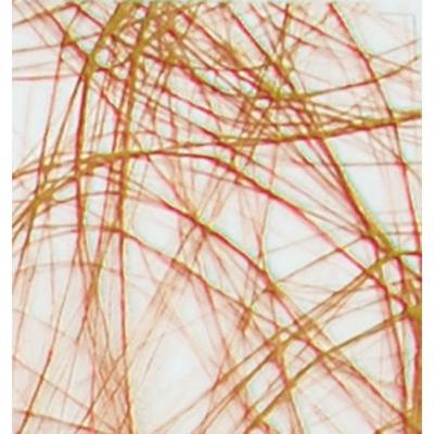 Vaessen Creative • sizoweb 5mx30cm in koker brons