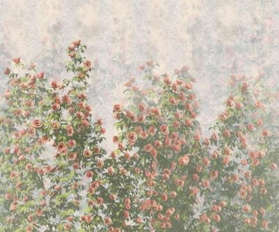 Komar Le Jardin Fotobehang Wall Roses - LJX6-038