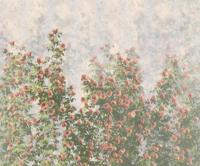 Komar Le Jardin Fotobehang Wall Roses - LJX6-038 - thumbnail
