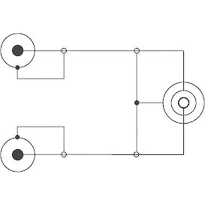 SpeaKa Professional SP-7870256 Cinch / Jackplug Audio Aansluitkabel [2x Cinch-stekker - 1x Jackplug female 3,5 mm] 1.50 m Zwart